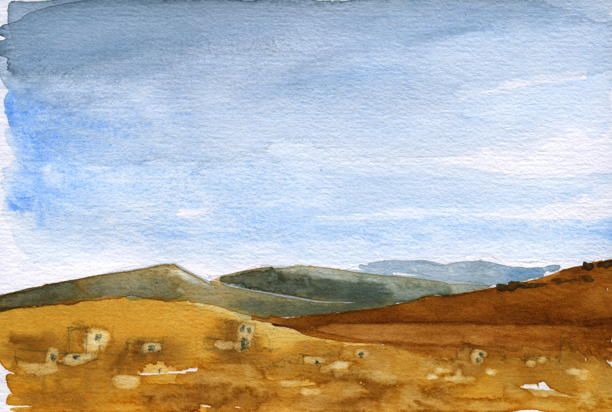 study